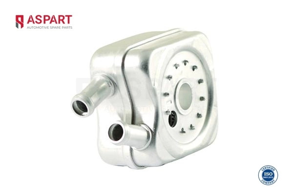 6OCO1019 Aspart