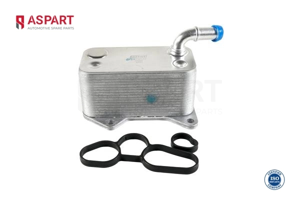 6OCO1020 Aspart