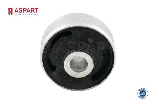 1BUS1013 Aspart