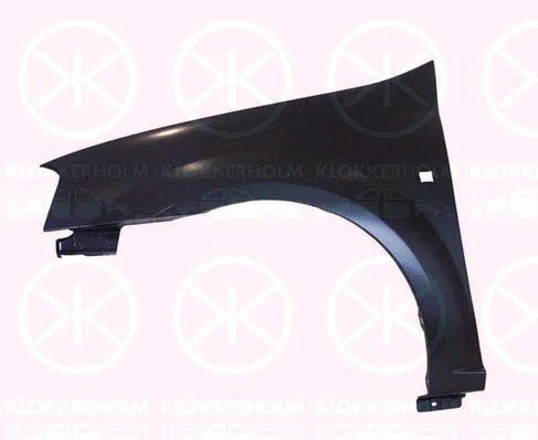 Dacia Logan Sağ ön çamurluk Türkiye fiyatı