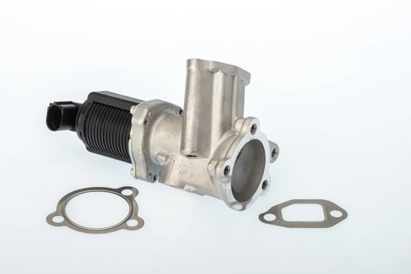 Albea sedan (172) (2002 - 2011) EGR vanası