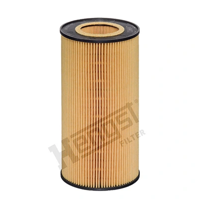 E89HD734 Hengst