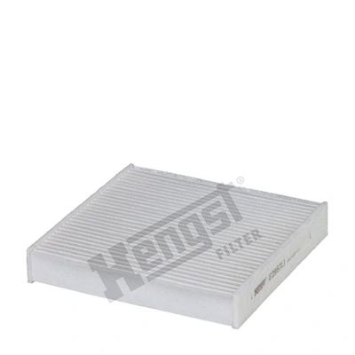 E2957LI Hengst