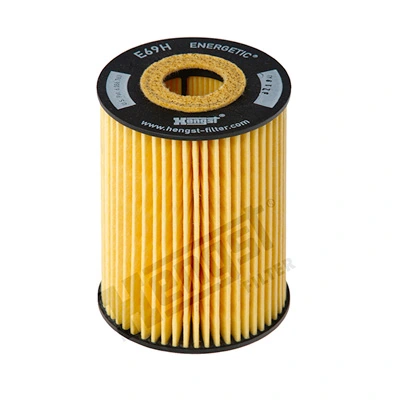 E69HD81 Hengst