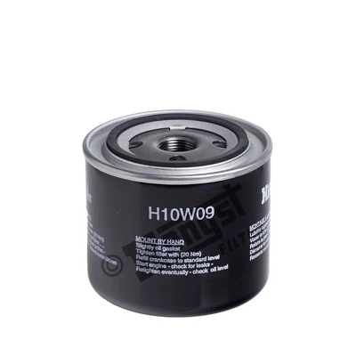 H10W09 Hengst