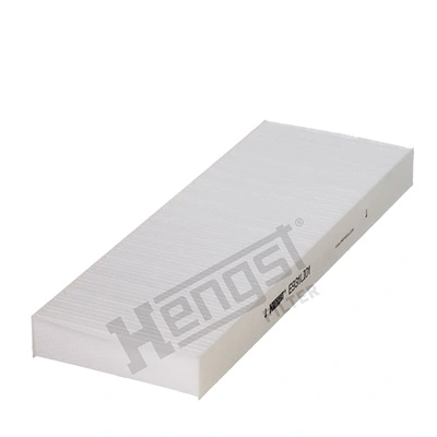 E931LI01 Hengst