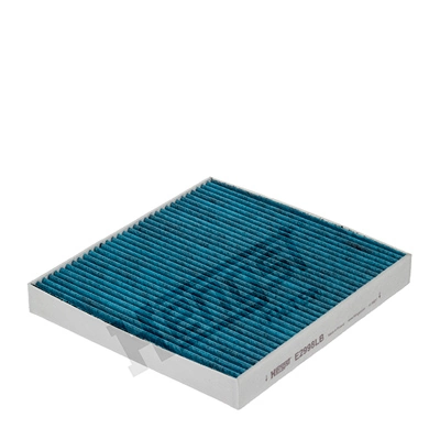 E2998LB Hengst