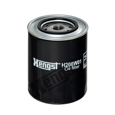 H208W01 Hengst