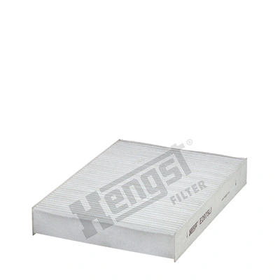 E2975LI Hengst