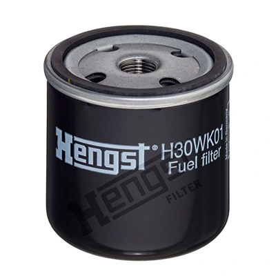 H30WK01 Hengst