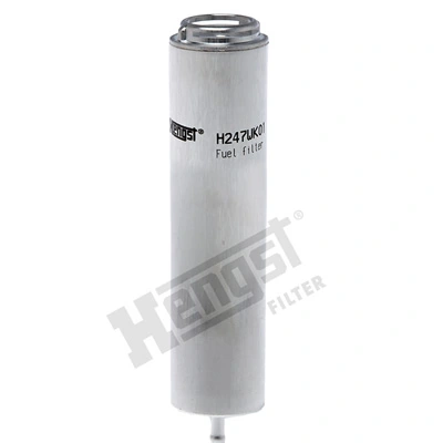 H247WK01 Hengst