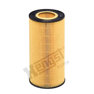 E89HD213 Hengst