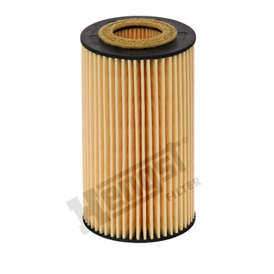 E11HD204 Hengst