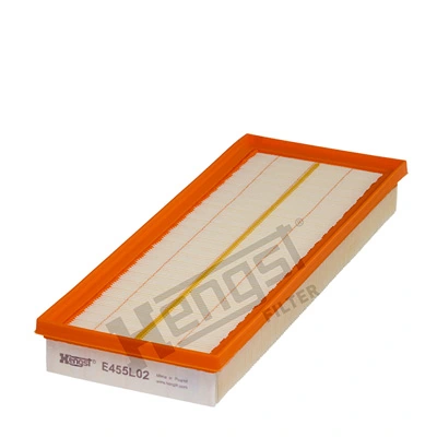 E455L02 Hengst