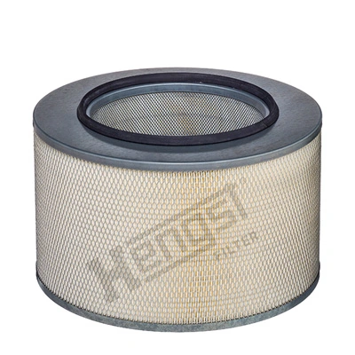 E297L Hengst