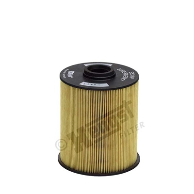 E53KPD61 Hengst