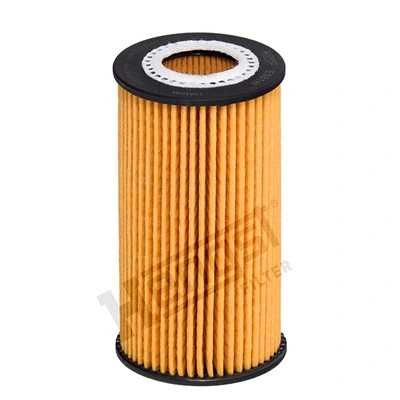 E981HD529 Hengst