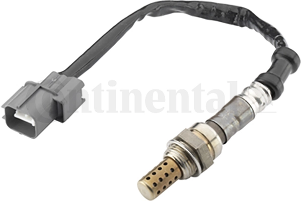 A2C59513869Z Continental/Siemens