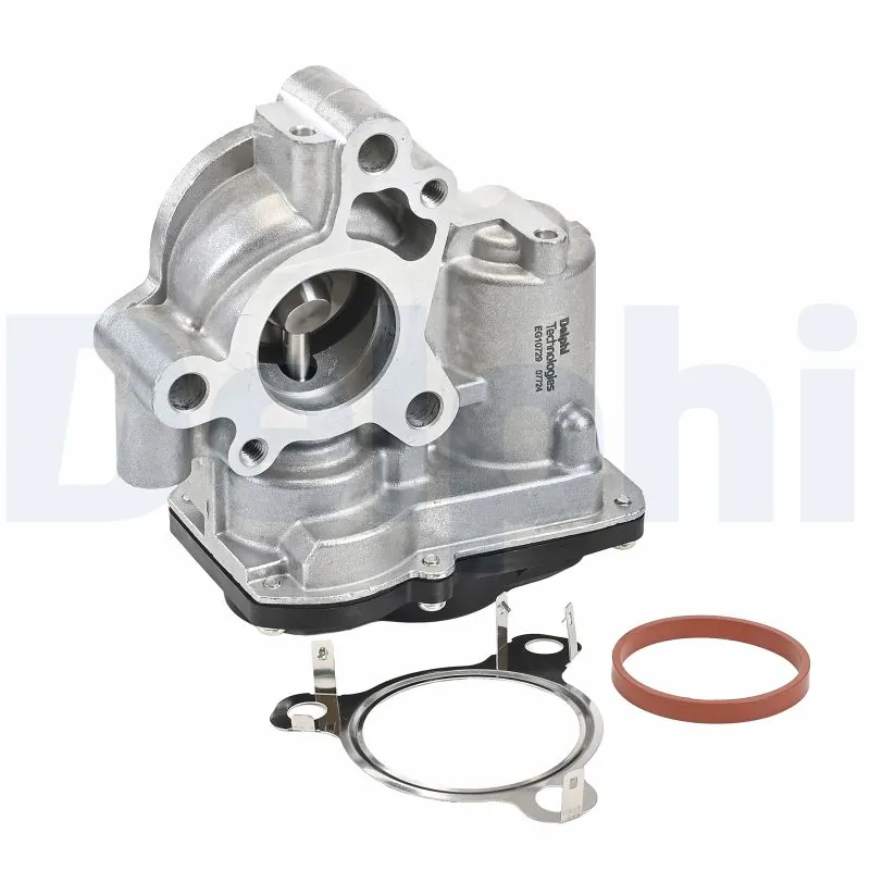 Kangoo III EGR vanası