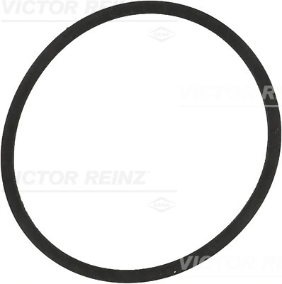 71-34204-00 Victor Reinz