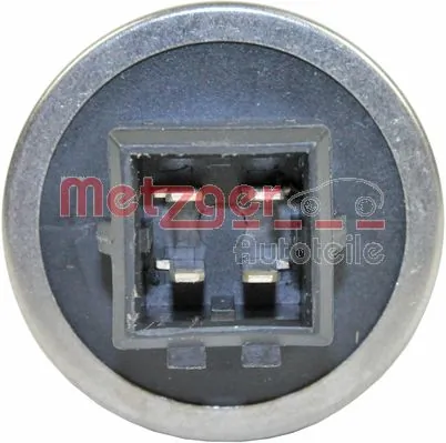 0917276 Metzger