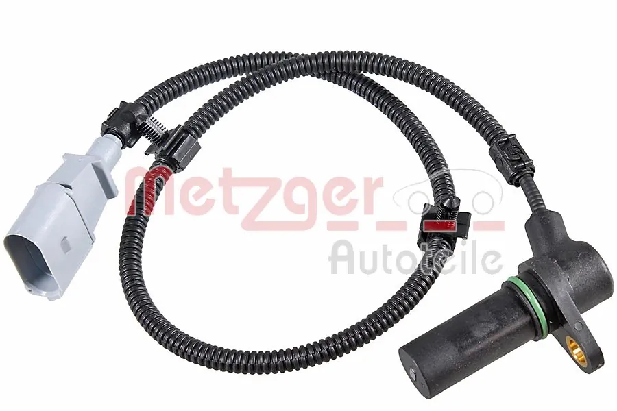 0902100 Metzger