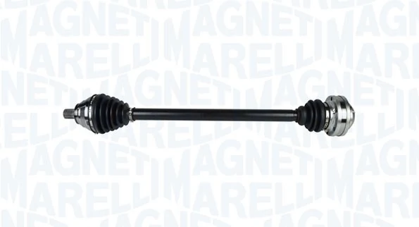 Leon II Sağ aks