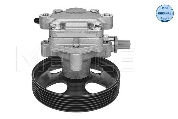 Ford Fiesta V (2001 - 2008) Direksiyon hidrolik pompası 