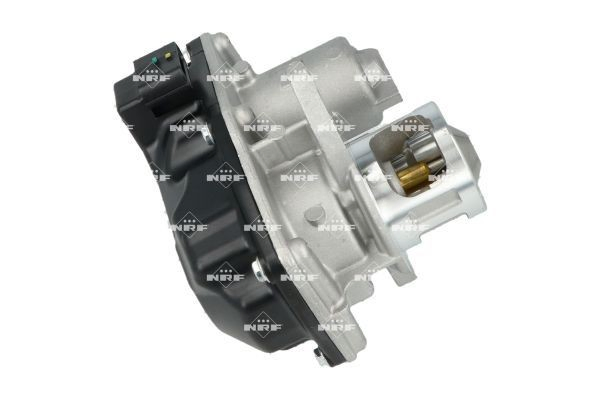 Renault Megane IV (2016 - 2026) EGR egzoz gazı devirdaim valfi 