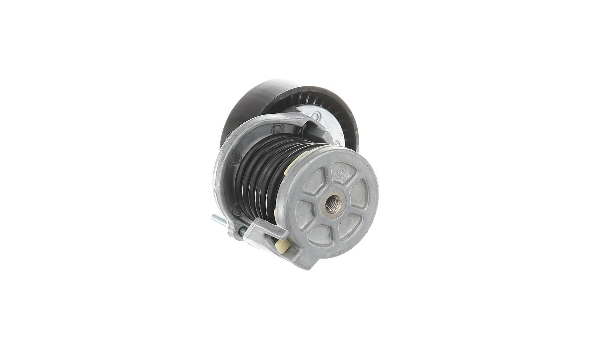  VKM31058