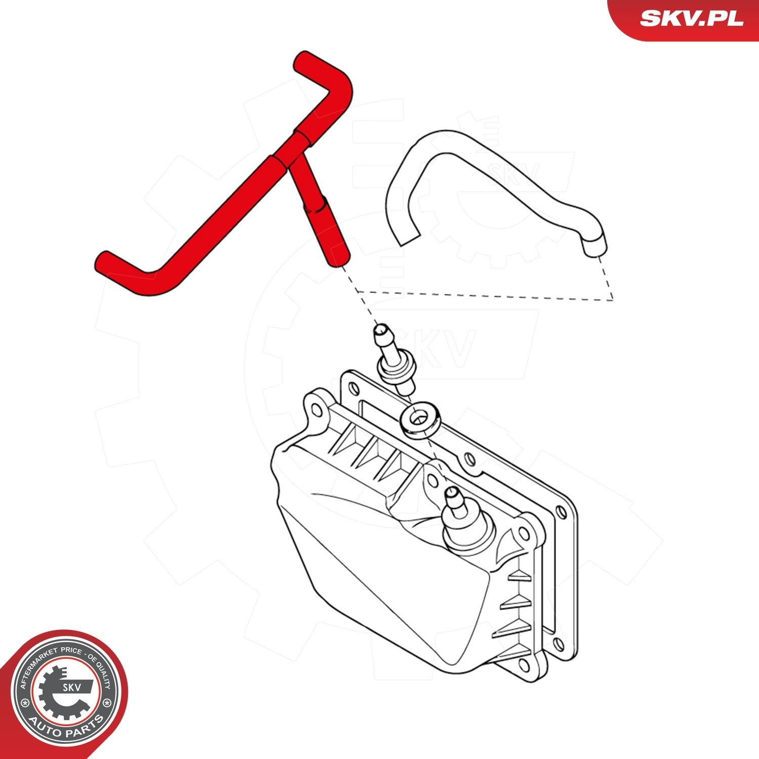 24SKV448 SKV