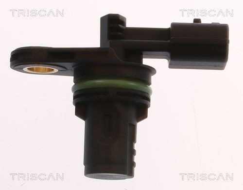 Renault Fluence  (2010 - 2026) Eksantrik mili konum sensörü 