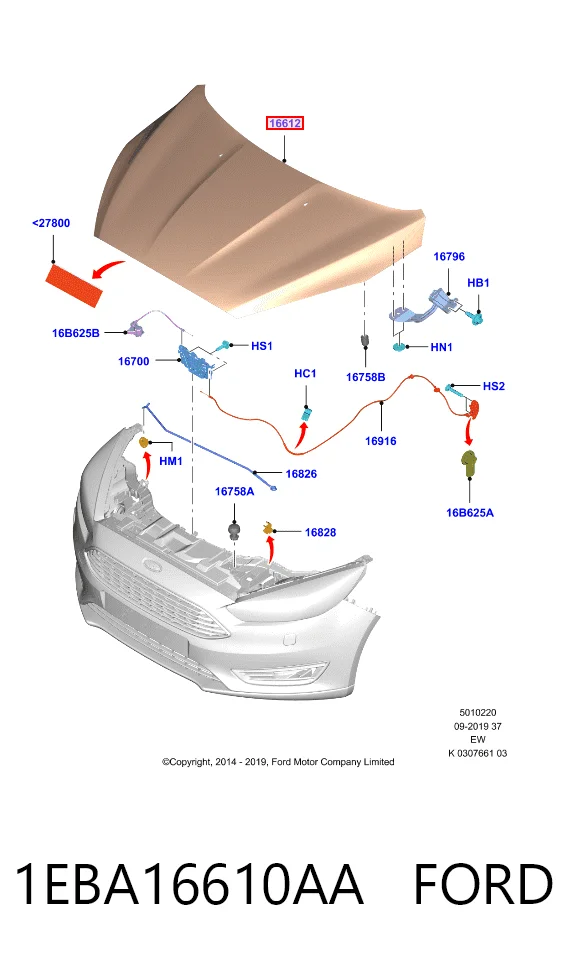 Ford Focus III (2010 - 2020) Kaput satın al