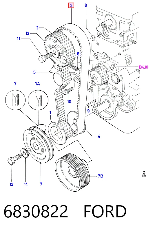 Ford Escort IV (1985 - 1990) Triger kayışı fiyatları
