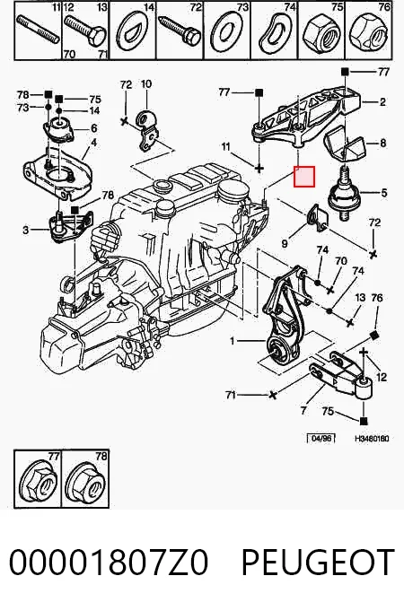 307  Arka motor kulağı