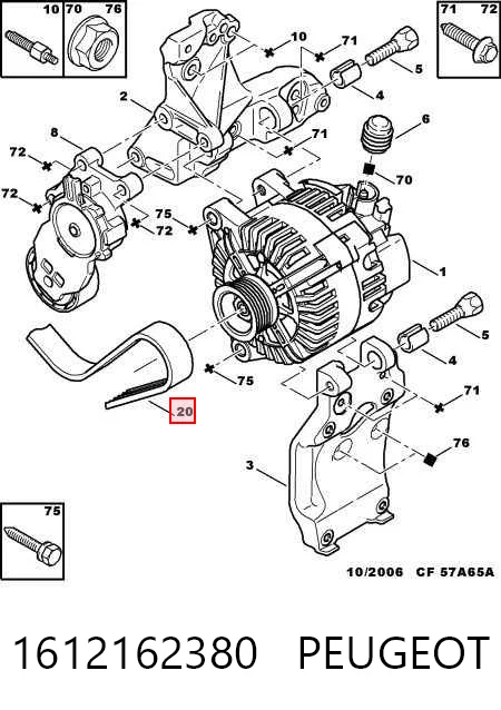 Ford Focus II Alternatör kayışı