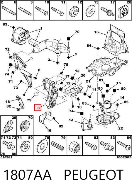 307  Arka motor kulağı