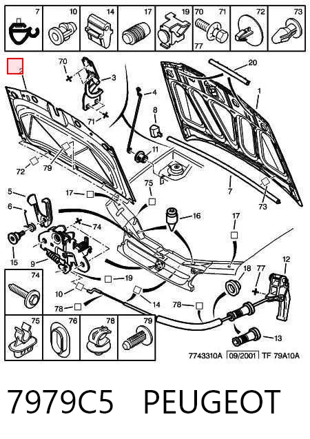 Citroen Berlingo  Kaput keçesi
