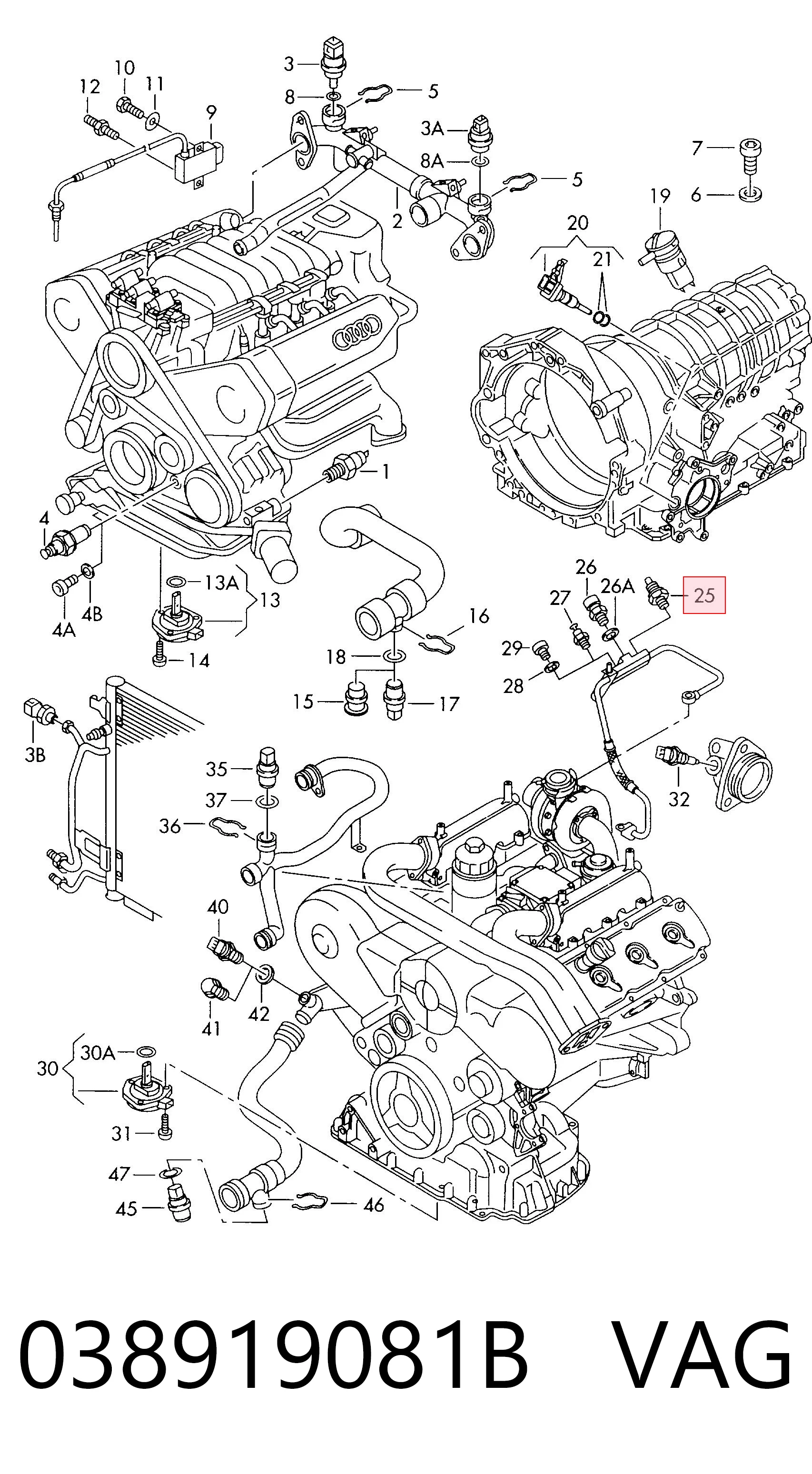 038919081B VAG
