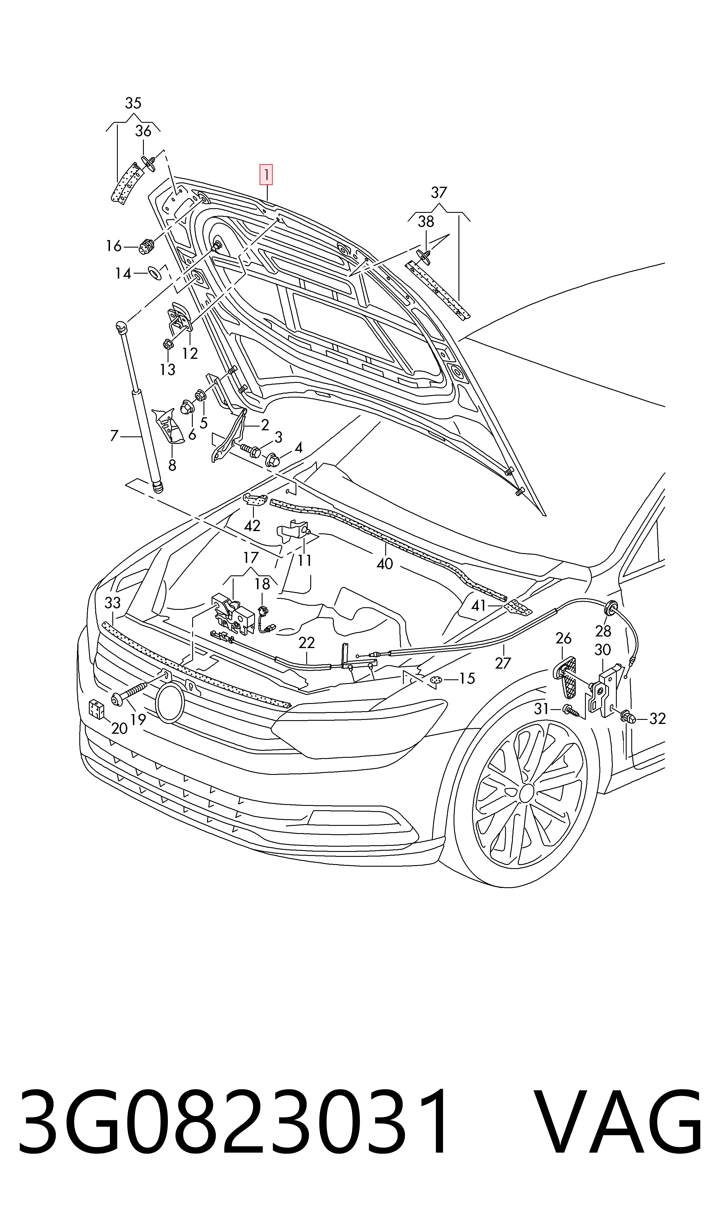 Volkswagen Passat ön kaput